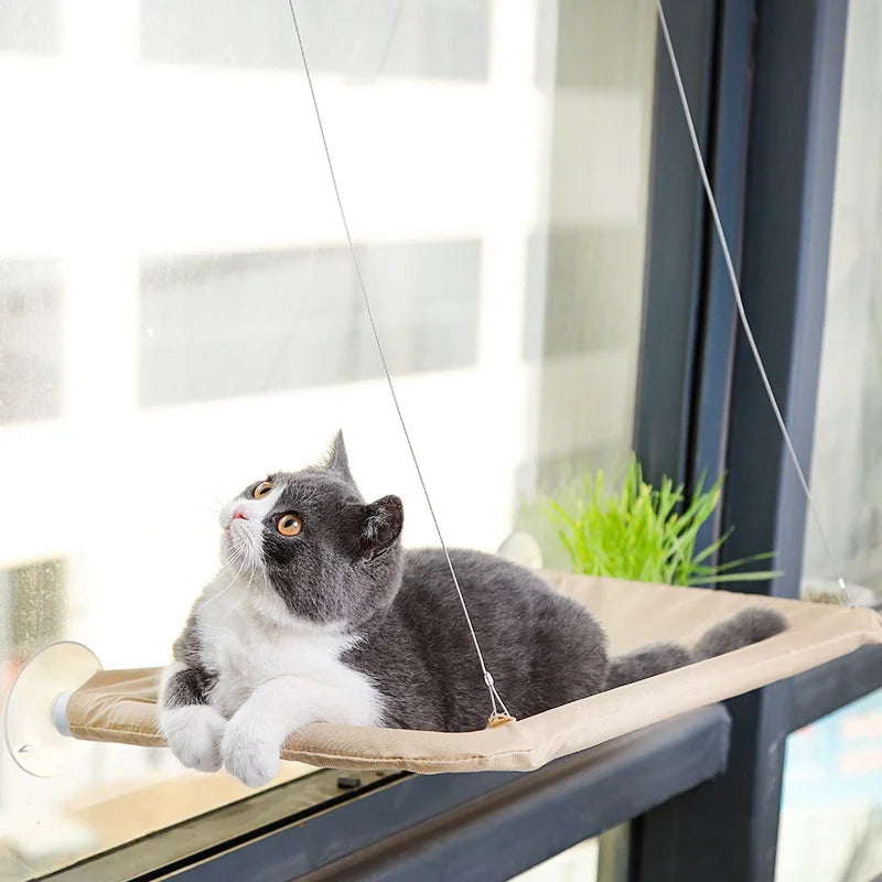 Un chat gris et blanc allongé sur un hamac de fenêtre à ventouses, le regard levé vers la rue