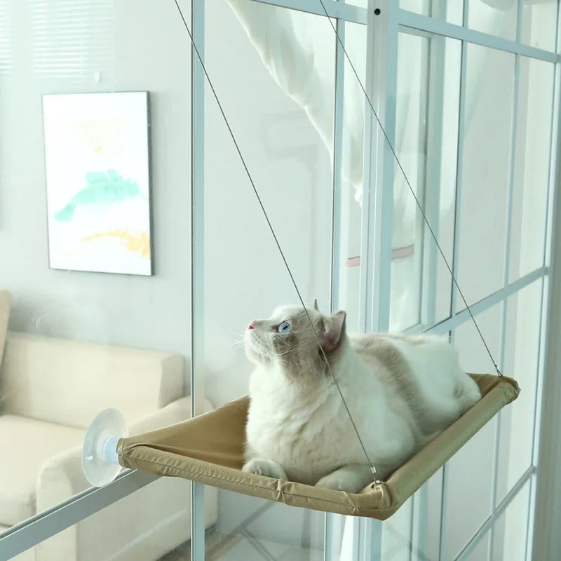 Un chat blanc installé sur le hamac, côté salon