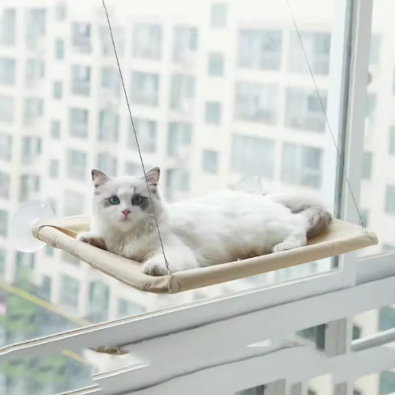 Un chat blanc allongé sur le hamac de fenêtre, face aux immeubles