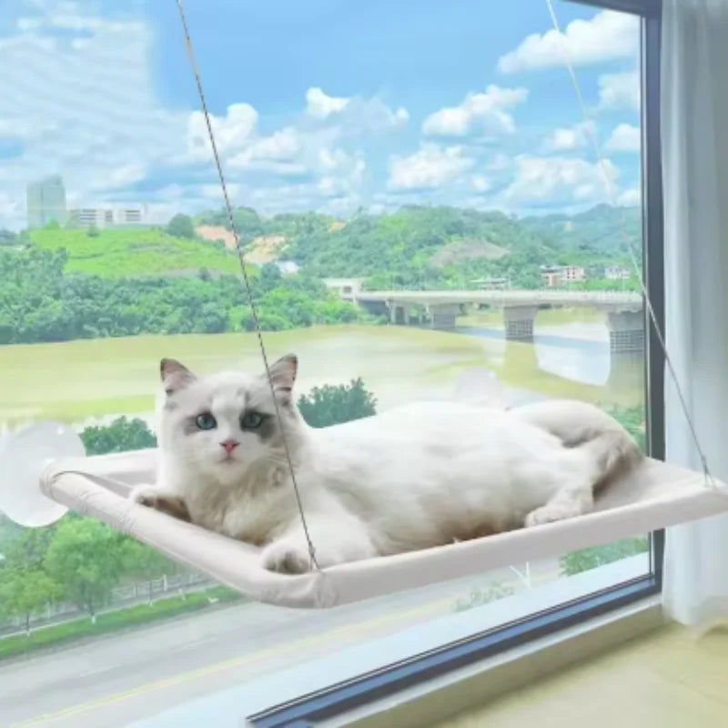 Hamac de fenêtre à ventouses, coloris Blanc, avec un chat blanc allongé